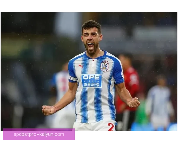 英超波特海鸥表现稳健，持续提升竞争力引人关注